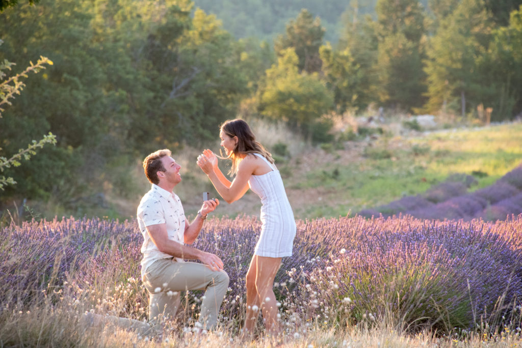 lavender proposal provence