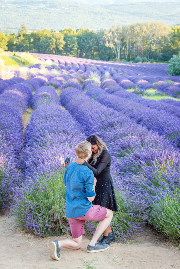 surprise proposal provence